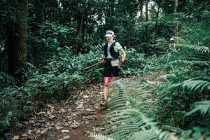 BIB: 
                            <button type="button" onclick="openModal(25508645)" class="btn btn-primary btn-sm float-right btn-popup" data-toggle="modal" data-target=".modal-high-quality">
                        <i class="fas fa-shopping-cart"></i> Add to Cart
                    </button>
                                            <button type="button" onclick="isThisMe(25508645, true)" class="btn btn-success btn-sm float-right btn-popup btn-isme hidden" data-toggle="tooltip" data-placement="bottom" title="นี่คือรูปของคุณใช่ไหม คลิกที่นี่เพื่อเอาเข้าอัลบั้ม">
                        <i class="fas fa-plus"></i> Add to album
                    </button>
                    <button type="button" onclick="isThisMe(25508645, false)" class="btn btn-warning btn-sm float-right btn-popup btn-isnotme hidden">
                        <i class="fas fa-ban"></i> Remove from album
                    </button>