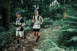 BIB: 
                            <button type="button" onclick="openModal(25509583)" class="btn btn-primary btn-sm float-right btn-popup" data-toggle="modal" data-target=".modal-high-quality">
                        <i class="fas fa-shopping-cart"></i> Add to Cart
                    </button>
                                            <button type="button" onclick="isThisMe(25509583, true)" class="btn btn-success btn-sm float-right btn-popup btn-isme hidden" data-toggle="tooltip" data-placement="bottom" title="นี่คือรูปของคุณใช่ไหม คลิกที่นี่เพื่อเอาเข้าอัลบั้ม">
                        <i class="fas fa-plus"></i> Add to album
                    </button>
                    <button type="button" onclick="isThisMe(25509583, false)" class="btn btn-warning btn-sm float-right btn-popup btn-isnotme hidden">
                        <i class="fas fa-ban"></i> Remove from album
                    </button>