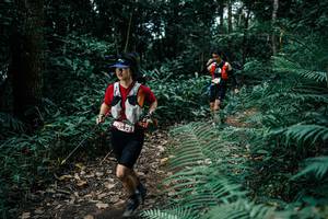 BIB: 
                            <button type="button" onclick="openModal(25515391)" class="btn btn-primary btn-sm float-right btn-popup" data-toggle="modal" data-target=".modal-high-quality">
                        <i class="fas fa-shopping-cart"></i> Add to Cart
                    </button>
                                            <button type="button" onclick="isThisMe(25515391, true)" class="btn btn-success btn-sm float-right btn-popup btn-isme hidden" data-toggle="tooltip" data-placement="bottom" title="นี่คือรูปของคุณใช่ไหม คลิกที่นี่เพื่อเอาเข้าอัลบั้ม">
                        <i class="fas fa-plus"></i> Add to album
                    </button>
                    <button type="button" onclick="isThisMe(25515391, false)" class="btn btn-warning btn-sm float-right btn-popup btn-isnotme hidden">
                        <i class="fas fa-ban"></i> Remove from album
                    </button>