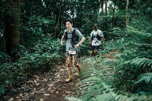 BIB: 
                            <button type="button" onclick="openModal(25511349)" class="btn btn-primary btn-sm float-right btn-popup" data-toggle="modal" data-target=".modal-high-quality">
                        <i class="fas fa-shopping-cart"></i> Add to Cart
                    </button>
                                            <button type="button" onclick="isThisMe(25511349, true)" class="btn btn-success btn-sm float-right btn-popup btn-isme hidden" data-toggle="tooltip" data-placement="bottom" title="นี่คือรูปของคุณใช่ไหม คลิกที่นี่เพื่อเอาเข้าอัลบั้ม">
                        <i class="fas fa-plus"></i> Add to album
                    </button>
                    <button type="button" onclick="isThisMe(25511349, false)" class="btn btn-warning btn-sm float-right btn-popup btn-isnotme hidden">
                        <i class="fas fa-ban"></i> Remove from album
                    </button>