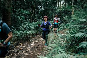 BIB: 
                            <button type="button" onclick="openModal(25514435)" class="btn btn-primary btn-sm float-right btn-popup" data-toggle="modal" data-target=".modal-high-quality">
                        <i class="fas fa-shopping-cart"></i> Add to Cart
                    </button>
                                            <button type="button" onclick="isThisMe(25514435, true)" class="btn btn-success btn-sm float-right btn-popup btn-isme hidden" data-toggle="tooltip" data-placement="bottom" title="นี่คือรูปของคุณใช่ไหม คลิกที่นี่เพื่อเอาเข้าอัลบั้ม">
                        <i class="fas fa-plus"></i> Add to album
                    </button>
                    <button type="button" onclick="isThisMe(25514435, false)" class="btn btn-warning btn-sm float-right btn-popup btn-isnotme hidden">
                        <i class="fas fa-ban"></i> Remove from album
                    </button>