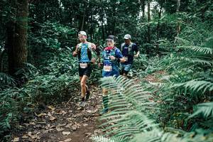 BIB: 
                            <button type="button" onclick="openModal(25509372)" class="btn btn-primary btn-sm float-right btn-popup" data-toggle="modal" data-target=".modal-high-quality">
                        <i class="fas fa-shopping-cart"></i> Add to Cart
                    </button>
                                            <button type="button" onclick="isThisMe(25509372, true)" class="btn btn-success btn-sm float-right btn-popup btn-isme hidden" data-toggle="tooltip" data-placement="bottom" title="นี่คือรูปของคุณใช่ไหม คลิกที่นี่เพื่อเอาเข้าอัลบั้ม">
                        <i class="fas fa-plus"></i> Add to album
                    </button>
                    <button type="button" onclick="isThisMe(25509372, false)" class="btn btn-warning btn-sm float-right btn-popup btn-isnotme hidden">
                        <i class="fas fa-ban"></i> Remove from album
                    </button>