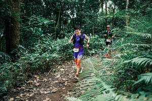 BIB: 
                            <button type="button" onclick="openModal(25508176)" class="btn btn-primary btn-sm float-right btn-popup" data-toggle="modal" data-target=".modal-high-quality">
                        <i class="fas fa-shopping-cart"></i> Add to Cart
                    </button>
                                            <button type="button" onclick="isThisMe(25508176, true)" class="btn btn-success btn-sm float-right btn-popup btn-isme hidden" data-toggle="tooltip" data-placement="bottom" title="นี่คือรูปของคุณใช่ไหม คลิกที่นี่เพื่อเอาเข้าอัลบั้ม">
                        <i class="fas fa-plus"></i> Add to album
                    </button>
                    <button type="button" onclick="isThisMe(25508176, false)" class="btn btn-warning btn-sm float-right btn-popup btn-isnotme hidden">
                        <i class="fas fa-ban"></i> Remove from album
                    </button>