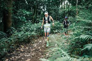 BIB: 
                            <button type="button" onclick="openModal(25506675)" class="btn btn-primary btn-sm float-right btn-popup" data-toggle="modal" data-target=".modal-high-quality">
                        <i class="fas fa-shopping-cart"></i> Add to Cart
                    </button>
                                            <button type="button" onclick="isThisMe(25506675, true)" class="btn btn-success btn-sm float-right btn-popup btn-isme hidden" data-toggle="tooltip" data-placement="bottom" title="นี่คือรูปของคุณใช่ไหม คลิกที่นี่เพื่อเอาเข้าอัลบั้ม">
                        <i class="fas fa-plus"></i> Add to album
                    </button>
                    <button type="button" onclick="isThisMe(25506675, false)" class="btn btn-warning btn-sm float-right btn-popup btn-isnotme hidden">
                        <i class="fas fa-ban"></i> Remove from album
                    </button>