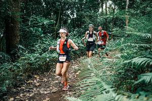 BIB: 
                            <button type="button" onclick="openModal(25508221)" class="btn btn-primary btn-sm float-right btn-popup" data-toggle="modal" data-target=".modal-high-quality">
                        <i class="fas fa-shopping-cart"></i> Add to Cart
                    </button>
                                            <button type="button" onclick="isThisMe(25508221, true)" class="btn btn-success btn-sm float-right btn-popup btn-isme hidden" data-toggle="tooltip" data-placement="bottom" title="นี่คือรูปของคุณใช่ไหม คลิกที่นี่เพื่อเอาเข้าอัลบั้ม">
                        <i class="fas fa-plus"></i> Add to album
                    </button>
                    <button type="button" onclick="isThisMe(25508221, false)" class="btn btn-warning btn-sm float-right btn-popup btn-isnotme hidden">
                        <i class="fas fa-ban"></i> Remove from album
                    </button>