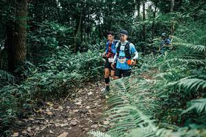 BIB: 
                            <button type="button" onclick="openModal(25506726)" class="btn btn-primary btn-sm float-right btn-popup" data-toggle="modal" data-target=".modal-high-quality">
                        <i class="fas fa-shopping-cart"></i> Add to Cart
                    </button>
                                            <button type="button" onclick="isThisMe(25506726, true)" class="btn btn-success btn-sm float-right btn-popup btn-isme hidden" data-toggle="tooltip" data-placement="bottom" title="นี่คือรูปของคุณใช่ไหม คลิกที่นี่เพื่อเอาเข้าอัลบั้ม">
                        <i class="fas fa-plus"></i> Add to album
                    </button>
                    <button type="button" onclick="isThisMe(25506726, false)" class="btn btn-warning btn-sm float-right btn-popup btn-isnotme hidden">
                        <i class="fas fa-ban"></i> Remove from album
                    </button>