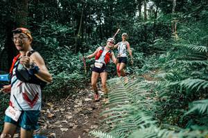 BIB: 
                            <button type="button" onclick="openModal(25513449)" class="btn btn-primary btn-sm float-right btn-popup" data-toggle="modal" data-target=".modal-high-quality">
                        <i class="fas fa-shopping-cart"></i> Add to Cart
                    </button>
                                            <button type="button" onclick="isThisMe(25513449, true)" class="btn btn-success btn-sm float-right btn-popup btn-isme hidden" data-toggle="tooltip" data-placement="bottom" title="นี่คือรูปของคุณใช่ไหม คลิกที่นี่เพื่อเอาเข้าอัลบั้ม">
                        <i class="fas fa-plus"></i> Add to album
                    </button>
                    <button type="button" onclick="isThisMe(25513449, false)" class="btn btn-warning btn-sm float-right btn-popup btn-isnotme hidden">
                        <i class="fas fa-ban"></i> Remove from album
                    </button>