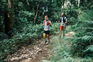 BIB: 
                            <button type="button" onclick="openModal(25516063)" class="btn btn-primary btn-sm float-right btn-popup" data-toggle="modal" data-target=".modal-high-quality">
                        <i class="fas fa-shopping-cart"></i> Add to Cart
                    </button>
                                            <button type="button" onclick="isThisMe(25516063, true)" class="btn btn-success btn-sm float-right btn-popup btn-isme hidden" data-toggle="tooltip" data-placement="bottom" title="นี่คือรูปของคุณใช่ไหม คลิกที่นี่เพื่อเอาเข้าอัลบั้ม">
                        <i class="fas fa-plus"></i> Add to album
                    </button>
                    <button type="button" onclick="isThisMe(25516063, false)" class="btn btn-warning btn-sm float-right btn-popup btn-isnotme hidden">
                        <i class="fas fa-ban"></i> Remove from album
                    </button>