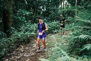 BIB: 
                            <button type="button" onclick="openModal(25508178)" class="btn btn-primary btn-sm float-right btn-popup" data-toggle="modal" data-target=".modal-high-quality">
                        <i class="fas fa-shopping-cart"></i> Add to Cart
                    </button>
                                            <button type="button" onclick="isThisMe(25508178, true)" class="btn btn-success btn-sm float-right btn-popup btn-isme hidden" data-toggle="tooltip" data-placement="bottom" title="นี่คือรูปของคุณใช่ไหม คลิกที่นี่เพื่อเอาเข้าอัลบั้ม">
                        <i class="fas fa-plus"></i> Add to album
                    </button>
                    <button type="button" onclick="isThisMe(25508178, false)" class="btn btn-warning btn-sm float-right btn-popup btn-isnotme hidden">
                        <i class="fas fa-ban"></i> Remove from album
                    </button>