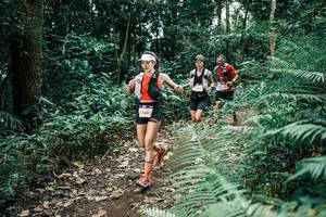 BIB: 
                            <button type="button" onclick="openModal(25508229)" class="btn btn-primary btn-sm float-right btn-popup" data-toggle="modal" data-target=".modal-high-quality">
                        <i class="fas fa-shopping-cart"></i> Add to Cart
                    </button>
                                            <button type="button" onclick="isThisMe(25508229, true)" class="btn btn-success btn-sm float-right btn-popup btn-isme hidden" data-toggle="tooltip" data-placement="bottom" title="นี่คือรูปของคุณใช่ไหม คลิกที่นี่เพื่อเอาเข้าอัลบั้ม">
                        <i class="fas fa-plus"></i> Add to album
                    </button>
                    <button type="button" onclick="isThisMe(25508229, false)" class="btn btn-warning btn-sm float-right btn-popup btn-isnotme hidden">
                        <i class="fas fa-ban"></i> Remove from album
                    </button>