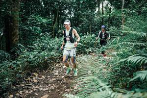 BIB: 
                            <button type="button" onclick="openModal(25506681)" class="btn btn-primary btn-sm float-right btn-popup" data-toggle="modal" data-target=".modal-high-quality">
                        <i class="fas fa-shopping-cart"></i> Add to Cart
                    </button>
                                            <button type="button" onclick="isThisMe(25506681, true)" class="btn btn-success btn-sm float-right btn-popup btn-isme hidden" data-toggle="tooltip" data-placement="bottom" title="นี่คือรูปของคุณใช่ไหม คลิกที่นี่เพื่อเอาเข้าอัลบั้ม">
                        <i class="fas fa-plus"></i> Add to album
                    </button>
                    <button type="button" onclick="isThisMe(25506681, false)" class="btn btn-warning btn-sm float-right btn-popup btn-isnotme hidden">
                        <i class="fas fa-ban"></i> Remove from album
                    </button>