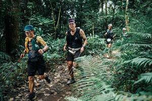 BIB: 
                            <button type="button" onclick="openModal(25513189)" class="btn btn-primary btn-sm float-right btn-popup" data-toggle="modal" data-target=".modal-high-quality">
                        <i class="fas fa-shopping-cart"></i> Add to Cart
                    </button>
                                            <button type="button" onclick="isThisMe(25513189, true)" class="btn btn-success btn-sm float-right btn-popup btn-isme hidden" data-toggle="tooltip" data-placement="bottom" title="นี่คือรูปของคุณใช่ไหม คลิกที่นี่เพื่อเอาเข้าอัลบั้ม">
                        <i class="fas fa-plus"></i> Add to album
                    </button>
                    <button type="button" onclick="isThisMe(25513189, false)" class="btn btn-warning btn-sm float-right btn-popup btn-isnotme hidden">
                        <i class="fas fa-ban"></i> Remove from album
                    </button>