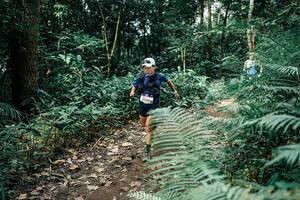 BIB: 
                            <button type="button" onclick="openModal(25513519)" class="btn btn-primary btn-sm float-right btn-popup" data-toggle="modal" data-target=".modal-high-quality">
                        <i class="fas fa-shopping-cart"></i> Add to Cart
                    </button>
                                            <button type="button" onclick="isThisMe(25513519, true)" class="btn btn-success btn-sm float-right btn-popup btn-isme hidden" data-toggle="tooltip" data-placement="bottom" title="นี่คือรูปของคุณใช่ไหม คลิกที่นี่เพื่อเอาเข้าอัลบั้ม">
                        <i class="fas fa-plus"></i> Add to album
                    </button>
                    <button type="button" onclick="isThisMe(25513519, false)" class="btn btn-warning btn-sm float-right btn-popup btn-isnotme hidden">
                        <i class="fas fa-ban"></i> Remove from album
                    </button>