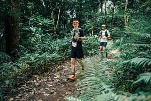 BIB: 
                            <button type="button" onclick="openModal(25513147)" class="btn btn-primary btn-sm float-right btn-popup" data-toggle="modal" data-target=".modal-high-quality">
                        <i class="fas fa-shopping-cart"></i> Add to Cart
                    </button>
                                            <button type="button" onclick="isThisMe(25513147, true)" class="btn btn-success btn-sm float-right btn-popup btn-isme hidden" data-toggle="tooltip" data-placement="bottom" title="นี่คือรูปของคุณใช่ไหม คลิกที่นี่เพื่อเอาเข้าอัลบั้ม">
                        <i class="fas fa-plus"></i> Add to album
                    </button>
                    <button type="button" onclick="isThisMe(25513147, false)" class="btn btn-warning btn-sm float-right btn-popup btn-isnotme hidden">
                        <i class="fas fa-ban"></i> Remove from album
                    </button>