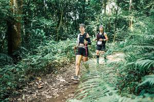 BIB: 
                            <button type="button" onclick="openModal(25517817)" class="btn btn-primary btn-sm float-right btn-popup" data-toggle="modal" data-target=".modal-high-quality">
                        <i class="fas fa-shopping-cart"></i> Add to Cart
                    </button>
                                            <button type="button" onclick="isThisMe(25517817, true)" class="btn btn-success btn-sm float-right btn-popup btn-isme hidden" data-toggle="tooltip" data-placement="bottom" title="นี่คือรูปของคุณใช่ไหม คลิกที่นี่เพื่อเอาเข้าอัลบั้ม">
                        <i class="fas fa-plus"></i> Add to album
                    </button>
                    <button type="button" onclick="isThisMe(25517817, false)" class="btn btn-warning btn-sm float-right btn-popup btn-isnotme hidden">
                        <i class="fas fa-ban"></i> Remove from album
                    </button>