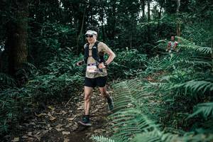 BIB: 
                            <button type="button" onclick="openModal(25509960)" class="btn btn-primary btn-sm float-right btn-popup" data-toggle="modal" data-target=".modal-high-quality">
                        <i class="fas fa-shopping-cart"></i> Add to Cart
                    </button>
                                            <button type="button" onclick="isThisMe(25509960, true)" class="btn btn-success btn-sm float-right btn-popup btn-isme hidden" data-toggle="tooltip" data-placement="bottom" title="นี่คือรูปของคุณใช่ไหม คลิกที่นี่เพื่อเอาเข้าอัลบั้ม">
                        <i class="fas fa-plus"></i> Add to album
                    </button>
                    <button type="button" onclick="isThisMe(25509960, false)" class="btn btn-warning btn-sm float-right btn-popup btn-isnotme hidden">
                        <i class="fas fa-ban"></i> Remove from album
                    </button>