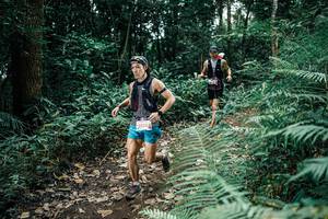 BIB: 
                            <button type="button" onclick="openModal(25506539)" class="btn btn-primary btn-sm float-right btn-popup" data-toggle="modal" data-target=".modal-high-quality">
                        <i class="fas fa-shopping-cart"></i> Add to Cart
                    </button>
                                            <button type="button" onclick="isThisMe(25506539, true)" class="btn btn-success btn-sm float-right btn-popup btn-isme hidden" data-toggle="tooltip" data-placement="bottom" title="นี่คือรูปของคุณใช่ไหม คลิกที่นี่เพื่อเอาเข้าอัลบั้ม">
                        <i class="fas fa-plus"></i> Add to album
                    </button>
                    <button type="button" onclick="isThisMe(25506539, false)" class="btn btn-warning btn-sm float-right btn-popup btn-isnotme hidden">
                        <i class="fas fa-ban"></i> Remove from album
                    </button>