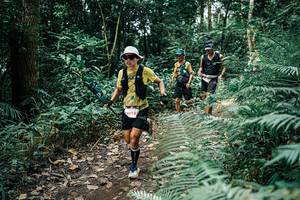 BIB: 
                            <button type="button" onclick="openModal(25513184)" class="btn btn-primary btn-sm float-right btn-popup" data-toggle="modal" data-target=".modal-high-quality">
                        <i class="fas fa-shopping-cart"></i> Add to Cart
                    </button>
                                            <button type="button" onclick="isThisMe(25513184, true)" class="btn btn-success btn-sm float-right btn-popup btn-isme hidden" data-toggle="tooltip" data-placement="bottom" title="นี่คือรูปของคุณใช่ไหม คลิกที่นี่เพื่อเอาเข้าอัลบั้ม">
                        <i class="fas fa-plus"></i> Add to album
                    </button>
                    <button type="button" onclick="isThisMe(25513184, false)" class="btn btn-warning btn-sm float-right btn-popup btn-isnotme hidden">
                        <i class="fas fa-ban"></i> Remove from album
                    </button>