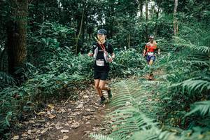 BIB: 
                            <button type="button" onclick="openModal(25508397)" class="btn btn-primary btn-sm float-right btn-popup" data-toggle="modal" data-target=".modal-high-quality">
                        <i class="fas fa-shopping-cart"></i> Add to Cart
                    </button>
                                            <button type="button" onclick="isThisMe(25508397, true)" class="btn btn-success btn-sm float-right btn-popup btn-isme hidden" data-toggle="tooltip" data-placement="bottom" title="นี่คือรูปของคุณใช่ไหม คลิกที่นี่เพื่อเอาเข้าอัลบั้ม">
                        <i class="fas fa-plus"></i> Add to album
                    </button>
                    <button type="button" onclick="isThisMe(25508397, false)" class="btn btn-warning btn-sm float-right btn-popup btn-isnotme hidden">
                        <i class="fas fa-ban"></i> Remove from album
                    </button>