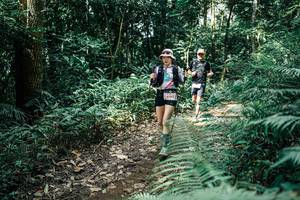 BIB: 
                            <button type="button" onclick="openModal(25518067)" class="btn btn-primary btn-sm float-right btn-popup" data-toggle="modal" data-target=".modal-high-quality">
                        <i class="fas fa-shopping-cart"></i> Add to Cart
                    </button>
                                            <button type="button" onclick="isThisMe(25518067, true)" class="btn btn-success btn-sm float-right btn-popup btn-isme hidden" data-toggle="tooltip" data-placement="bottom" title="นี่คือรูปของคุณใช่ไหม คลิกที่นี่เพื่อเอาเข้าอัลบั้ม">
                        <i class="fas fa-plus"></i> Add to album
                    </button>
                    <button type="button" onclick="isThisMe(25518067, false)" class="btn btn-warning btn-sm float-right btn-popup btn-isnotme hidden">
                        <i class="fas fa-ban"></i> Remove from album
                    </button>