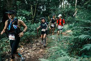 BIB: 
                            <button type="button" onclick="openModal(25514577)" class="btn btn-primary btn-sm float-right btn-popup" data-toggle="modal" data-target=".modal-high-quality">
                        <i class="fas fa-shopping-cart"></i> Add to Cart
                    </button>
                                            <button type="button" onclick="isThisMe(25514577, true)" class="btn btn-success btn-sm float-right btn-popup btn-isme hidden" data-toggle="tooltip" data-placement="bottom" title="นี่คือรูปของคุณใช่ไหม คลิกที่นี่เพื่อเอาเข้าอัลบั้ม">
                        <i class="fas fa-plus"></i> Add to album
                    </button>
                    <button type="button" onclick="isThisMe(25514577, false)" class="btn btn-warning btn-sm float-right btn-popup btn-isnotme hidden">
                        <i class="fas fa-ban"></i> Remove from album
                    </button>