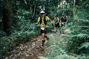 BIB: 
                            <button type="button" onclick="openModal(25513181)" class="btn btn-primary btn-sm float-right btn-popup" data-toggle="modal" data-target=".modal-high-quality">
                        <i class="fas fa-shopping-cart"></i> Add to Cart
                    </button>
                                            <button type="button" onclick="isThisMe(25513181, true)" class="btn btn-success btn-sm float-right btn-popup btn-isme hidden" data-toggle="tooltip" data-placement="bottom" title="นี่คือรูปของคุณใช่ไหม คลิกที่นี่เพื่อเอาเข้าอัลบั้ม">
                        <i class="fas fa-plus"></i> Add to album
                    </button>
                    <button type="button" onclick="isThisMe(25513181, false)" class="btn btn-warning btn-sm float-right btn-popup btn-isnotme hidden">
                        <i class="fas fa-ban"></i> Remove from album
                    </button>