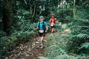 BIB: 
                            <button type="button" onclick="openModal(25513233)" class="btn btn-primary btn-sm float-right btn-popup" data-toggle="modal" data-target=".modal-high-quality">
                        <i class="fas fa-shopping-cart"></i> Add to Cart
                    </button>
                                            <button type="button" onclick="isThisMe(25513233, true)" class="btn btn-success btn-sm float-right btn-popup btn-isme hidden" data-toggle="tooltip" data-placement="bottom" title="นี่คือรูปของคุณใช่ไหม คลิกที่นี่เพื่อเอาเข้าอัลบั้ม">
                        <i class="fas fa-plus"></i> Add to album
                    </button>
                    <button type="button" onclick="isThisMe(25513233, false)" class="btn btn-warning btn-sm float-right btn-popup btn-isnotme hidden">
                        <i class="fas fa-ban"></i> Remove from album
                    </button>