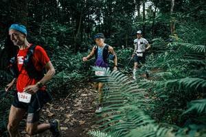 BIB: 
                            <button type="button" onclick="openModal(25510649)" class="btn btn-primary btn-sm float-right btn-popup" data-toggle="modal" data-target=".modal-high-quality">
                        <i class="fas fa-shopping-cart"></i> Add to Cart
                    </button>
                                            <button type="button" onclick="isThisMe(25510649, true)" class="btn btn-success btn-sm float-right btn-popup btn-isme hidden" data-toggle="tooltip" data-placement="bottom" title="นี่คือรูปของคุณใช่ไหม คลิกที่นี่เพื่อเอาเข้าอัลบั้ม">
                        <i class="fas fa-plus"></i> Add to album
                    </button>
                    <button type="button" onclick="isThisMe(25510649, false)" class="btn btn-warning btn-sm float-right btn-popup btn-isnotme hidden">
                        <i class="fas fa-ban"></i> Remove from album
                    </button>