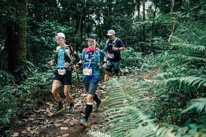 BIB: 
                            <button type="button" onclick="openModal(25509381)" class="btn btn-primary btn-sm float-right btn-popup" data-toggle="modal" data-target=".modal-high-quality">
                        <i class="fas fa-shopping-cart"></i> Add to Cart
                    </button>
                                            <button type="button" onclick="isThisMe(25509381, true)" class="btn btn-success btn-sm float-right btn-popup btn-isme hidden" data-toggle="tooltip" data-placement="bottom" title="นี่คือรูปของคุณใช่ไหม คลิกที่นี่เพื่อเอาเข้าอัลบั้ม">
                        <i class="fas fa-plus"></i> Add to album
                    </button>
                    <button type="button" onclick="isThisMe(25509381, false)" class="btn btn-warning btn-sm float-right btn-popup btn-isnotme hidden">
                        <i class="fas fa-ban"></i> Remove from album
                    </button>