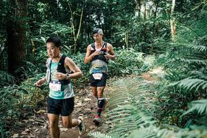 BIB: 
                            <button type="button" onclick="openModal(25513639)" class="btn btn-primary btn-sm float-right btn-popup" data-toggle="modal" data-target=".modal-high-quality">
                        <i class="fas fa-shopping-cart"></i> Add to Cart
                    </button>
                                            <button type="button" onclick="isThisMe(25513639, true)" class="btn btn-success btn-sm float-right btn-popup btn-isme hidden" data-toggle="tooltip" data-placement="bottom" title="นี่คือรูปของคุณใช่ไหม คลิกที่นี่เพื่อเอาเข้าอัลบั้ม">
                        <i class="fas fa-plus"></i> Add to album
                    </button>
                    <button type="button" onclick="isThisMe(25513639, false)" class="btn btn-warning btn-sm float-right btn-popup btn-isnotme hidden">
                        <i class="fas fa-ban"></i> Remove from album
                    </button>