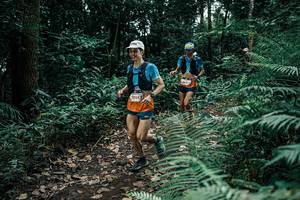 BIB: 
                            <button type="button" onclick="openModal(25504216)" class="btn btn-primary btn-sm float-right btn-popup" data-toggle="modal" data-target=".modal-high-quality">
                        <i class="fas fa-shopping-cart"></i> Add to Cart
                    </button>
                                            <button type="button" onclick="isThisMe(25504216, true)" class="btn btn-success btn-sm float-right btn-popup btn-isme hidden" data-toggle="tooltip" data-placement="bottom" title="นี่คือรูปของคุณใช่ไหม คลิกที่นี่เพื่อเอาเข้าอัลบั้ม">
                        <i class="fas fa-plus"></i> Add to album
                    </button>
                    <button type="button" onclick="isThisMe(25504216, false)" class="btn btn-warning btn-sm float-right btn-popup btn-isnotme hidden">
                        <i class="fas fa-ban"></i> Remove from album
                    </button>