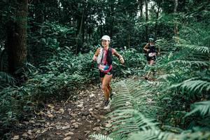 BIB: 
                            <button type="button" onclick="openModal(25505526)" class="btn btn-primary btn-sm float-right btn-popup" data-toggle="modal" data-target=".modal-high-quality">
                        <i class="fas fa-shopping-cart"></i> Add to Cart
                    </button>
                                            <button type="button" onclick="isThisMe(25505526, true)" class="btn btn-success btn-sm float-right btn-popup btn-isme hidden" data-toggle="tooltip" data-placement="bottom" title="นี่คือรูปของคุณใช่ไหม คลิกที่นี่เพื่อเอาเข้าอัลบั้ม">
                        <i class="fas fa-plus"></i> Add to album
                    </button>
                    <button type="button" onclick="isThisMe(25505526, false)" class="btn btn-warning btn-sm float-right btn-popup btn-isnotme hidden">
                        <i class="fas fa-ban"></i> Remove from album
                    </button>