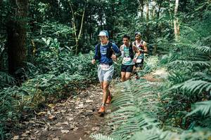 BIB: 
                            <button type="button" onclick="openModal(25513623)" class="btn btn-primary btn-sm float-right btn-popup" data-toggle="modal" data-target=".modal-high-quality">
                        <i class="fas fa-shopping-cart"></i> Add to Cart
                    </button>
                                            <button type="button" onclick="isThisMe(25513623, true)" class="btn btn-success btn-sm float-right btn-popup btn-isme hidden" data-toggle="tooltip" data-placement="bottom" title="นี่คือรูปของคุณใช่ไหม คลิกที่นี่เพื่อเอาเข้าอัลบั้ม">
                        <i class="fas fa-plus"></i> Add to album
                    </button>
                    <button type="button" onclick="isThisMe(25513623, false)" class="btn btn-warning btn-sm float-right btn-popup btn-isnotme hidden">
                        <i class="fas fa-ban"></i> Remove from album
                    </button>