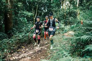 BIB: 
                            <button type="button" onclick="openModal(25515950)" class="btn btn-primary btn-sm float-right btn-popup" data-toggle="modal" data-target=".modal-high-quality">
                        <i class="fas fa-shopping-cart"></i> Add to Cart
                    </button>
                                            <button type="button" onclick="isThisMe(25515950, true)" class="btn btn-success btn-sm float-right btn-popup btn-isme hidden" data-toggle="tooltip" data-placement="bottom" title="นี่คือรูปของคุณใช่ไหม คลิกที่นี่เพื่อเอาเข้าอัลบั้ม">
                        <i class="fas fa-plus"></i> Add to album
                    </button>
                    <button type="button" onclick="isThisMe(25515950, false)" class="btn btn-warning btn-sm float-right btn-popup btn-isnotme hidden">
                        <i class="fas fa-ban"></i> Remove from album
                    </button>