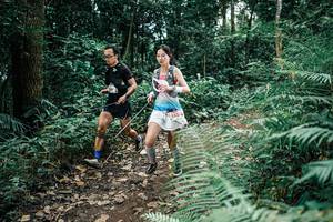 BIB: 
                            <button type="button" onclick="openModal(25507395)" class="btn btn-primary btn-sm float-right btn-popup" data-toggle="modal" data-target=".modal-high-quality">
                        <i class="fas fa-shopping-cart"></i> Add to Cart
                    </button>
                                            <button type="button" onclick="isThisMe(25507395, true)" class="btn btn-success btn-sm float-right btn-popup btn-isme hidden" data-toggle="tooltip" data-placement="bottom" title="นี่คือรูปของคุณใช่ไหม คลิกที่นี่เพื่อเอาเข้าอัลบั้ม">
                        <i class="fas fa-plus"></i> Add to album
                    </button>
                    <button type="button" onclick="isThisMe(25507395, false)" class="btn btn-warning btn-sm float-right btn-popup btn-isnotme hidden">
                        <i class="fas fa-ban"></i> Remove from album
                    </button>