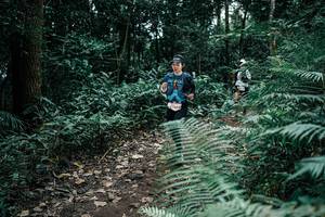 BIB: 
                            <button type="button" onclick="openModal(25513859)" class="btn btn-primary btn-sm float-right btn-popup" data-toggle="modal" data-target=".modal-high-quality">
                        <i class="fas fa-shopping-cart"></i> Add to Cart
                    </button>
                                            <button type="button" onclick="isThisMe(25513859, true)" class="btn btn-success btn-sm float-right btn-popup btn-isme hidden" data-toggle="tooltip" data-placement="bottom" title="นี่คือรูปของคุณใช่ไหม คลิกที่นี่เพื่อเอาเข้าอัลบั้ม">
                        <i class="fas fa-plus"></i> Add to album
                    </button>
                    <button type="button" onclick="isThisMe(25513859, false)" class="btn btn-warning btn-sm float-right btn-popup btn-isnotme hidden">
                        <i class="fas fa-ban"></i> Remove from album
                    </button>