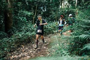 BIB: 
                            <button type="button" onclick="openModal(25516014)" class="btn btn-primary btn-sm float-right btn-popup" data-toggle="modal" data-target=".modal-high-quality">
                        <i class="fas fa-shopping-cart"></i> Add to Cart
                    </button>
                                            <button type="button" onclick="isThisMe(25516014, true)" class="btn btn-success btn-sm float-right btn-popup btn-isme hidden" data-toggle="tooltip" data-placement="bottom" title="นี่คือรูปของคุณใช่ไหม คลิกที่นี่เพื่อเอาเข้าอัลบั้ม">
                        <i class="fas fa-plus"></i> Add to album
                    </button>
                    <button type="button" onclick="isThisMe(25516014, false)" class="btn btn-warning btn-sm float-right btn-popup btn-isnotme hidden">
                        <i class="fas fa-ban"></i> Remove from album
                    </button>