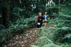 BIB: 
                            <button type="button" onclick="openModal(25506506)" class="btn btn-primary btn-sm float-right btn-popup" data-toggle="modal" data-target=".modal-high-quality">
                        <i class="fas fa-shopping-cart"></i> Add to Cart
                    </button>
                                            <button type="button" onclick="isThisMe(25506506, true)" class="btn btn-success btn-sm float-right btn-popup btn-isme hidden" data-toggle="tooltip" data-placement="bottom" title="นี่คือรูปของคุณใช่ไหม คลิกที่นี่เพื่อเอาเข้าอัลบั้ม">
                        <i class="fas fa-plus"></i> Add to album
                    </button>
                    <button type="button" onclick="isThisMe(25506506, false)" class="btn btn-warning btn-sm float-right btn-popup btn-isnotme hidden">
                        <i class="fas fa-ban"></i> Remove from album
                    </button>