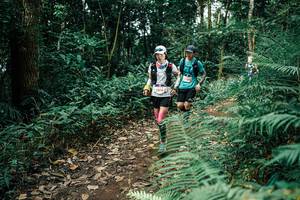 BIB: 
                            <button type="button" onclick="openModal(25510690)" class="btn btn-primary btn-sm float-right btn-popup" data-toggle="modal" data-target=".modal-high-quality">
                        <i class="fas fa-shopping-cart"></i> Add to Cart
                    </button>
                                            <button type="button" onclick="isThisMe(25510690, true)" class="btn btn-success btn-sm float-right btn-popup btn-isme hidden" data-toggle="tooltip" data-placement="bottom" title="นี่คือรูปของคุณใช่ไหม คลิกที่นี่เพื่อเอาเข้าอัลบั้ม">
                        <i class="fas fa-plus"></i> Add to album
                    </button>
                    <button type="button" onclick="isThisMe(25510690, false)" class="btn btn-warning btn-sm float-right btn-popup btn-isnotme hidden">
                        <i class="fas fa-ban"></i> Remove from album
                    </button>