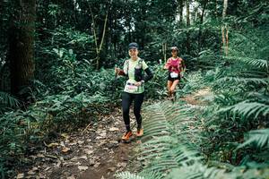 BIB: 
                            <button type="button" onclick="openModal(25513538)" class="btn btn-primary btn-sm float-right btn-popup" data-toggle="modal" data-target=".modal-high-quality">
                        <i class="fas fa-shopping-cart"></i> Add to Cart
                    </button>
                                            <button type="button" onclick="isThisMe(25513538, true)" class="btn btn-success btn-sm float-right btn-popup btn-isme hidden" data-toggle="tooltip" data-placement="bottom" title="นี่คือรูปของคุณใช่ไหม คลิกที่นี่เพื่อเอาเข้าอัลบั้ม">
                        <i class="fas fa-plus"></i> Add to album
                    </button>
                    <button type="button" onclick="isThisMe(25513538, false)" class="btn btn-warning btn-sm float-right btn-popup btn-isnotme hidden">
                        <i class="fas fa-ban"></i> Remove from album
                    </button>