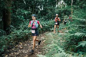 BIB: 
                            <button type="button" onclick="openModal(25508219)" class="btn btn-primary btn-sm float-right btn-popup" data-toggle="modal" data-target=".modal-high-quality">
                        <i class="fas fa-shopping-cart"></i> Add to Cart
                    </button>
                                            <button type="button" onclick="isThisMe(25508219, true)" class="btn btn-success btn-sm float-right btn-popup btn-isme hidden" data-toggle="tooltip" data-placement="bottom" title="นี่คือรูปของคุณใช่ไหม คลิกที่นี่เพื่อเอาเข้าอัลบั้ม">
                        <i class="fas fa-plus"></i> Add to album
                    </button>
                    <button type="button" onclick="isThisMe(25508219, false)" class="btn btn-warning btn-sm float-right btn-popup btn-isnotme hidden">
                        <i class="fas fa-ban"></i> Remove from album
                    </button>