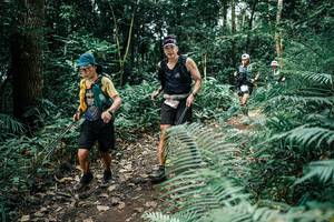 BIB: 
                            <button type="button" onclick="openModal(25513188)" class="btn btn-primary btn-sm float-right btn-popup" data-toggle="modal" data-target=".modal-high-quality">
                        <i class="fas fa-shopping-cart"></i> Add to Cart
                    </button>
                                            <button type="button" onclick="isThisMe(25513188, true)" class="btn btn-success btn-sm float-right btn-popup btn-isme hidden" data-toggle="tooltip" data-placement="bottom" title="นี่คือรูปของคุณใช่ไหม คลิกที่นี่เพื่อเอาเข้าอัลบั้ม">
                        <i class="fas fa-plus"></i> Add to album
                    </button>
                    <button type="button" onclick="isThisMe(25513188, false)" class="btn btn-warning btn-sm float-right btn-popup btn-isnotme hidden">
                        <i class="fas fa-ban"></i> Remove from album
                    </button>