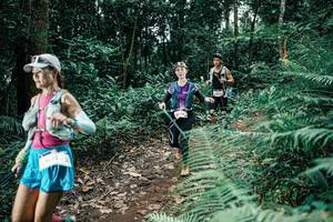 BIB: 
                            <button type="button" onclick="openModal(25517570)" class="btn btn-primary btn-sm float-right btn-popup" data-toggle="modal" data-target=".modal-high-quality">
                        <i class="fas fa-shopping-cart"></i> Add to Cart
                    </button>
                                            <button type="button" onclick="isThisMe(25517570, true)" class="btn btn-success btn-sm float-right btn-popup btn-isme hidden" data-toggle="tooltip" data-placement="bottom" title="นี่คือรูปของคุณใช่ไหม คลิกที่นี่เพื่อเอาเข้าอัลบั้ม">
                        <i class="fas fa-plus"></i> Add to album
                    </button>
                    <button type="button" onclick="isThisMe(25517570, false)" class="btn btn-warning btn-sm float-right btn-popup btn-isnotme hidden">
                        <i class="fas fa-ban"></i> Remove from album
                    </button>