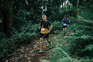 BIB: 
                            <button type="button" onclick="openModal(25509655)" class="btn btn-primary btn-sm float-right btn-popup" data-toggle="modal" data-target=".modal-high-quality">
                        <i class="fas fa-shopping-cart"></i> Add to Cart
                    </button>
                                            <button type="button" onclick="isThisMe(25509655, true)" class="btn btn-success btn-sm float-right btn-popup btn-isme hidden" data-toggle="tooltip" data-placement="bottom" title="นี่คือรูปของคุณใช่ไหม คลิกที่นี่เพื่อเอาเข้าอัลบั้ม">
                        <i class="fas fa-plus"></i> Add to album
                    </button>
                    <button type="button" onclick="isThisMe(25509655, false)" class="btn btn-warning btn-sm float-right btn-popup btn-isnotme hidden">
                        <i class="fas fa-ban"></i> Remove from album
                    </button>