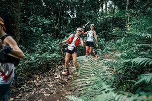 BIB: 
                            <button type="button" onclick="openModal(25513453)" class="btn btn-primary btn-sm float-right btn-popup" data-toggle="modal" data-target=".modal-high-quality">
                        <i class="fas fa-shopping-cart"></i> Add to Cart
                    </button>
                                            <button type="button" onclick="isThisMe(25513453, true)" class="btn btn-success btn-sm float-right btn-popup btn-isme hidden" data-toggle="tooltip" data-placement="bottom" title="นี่คือรูปของคุณใช่ไหม คลิกที่นี่เพื่อเอาเข้าอัลบั้ม">
                        <i class="fas fa-plus"></i> Add to album
                    </button>
                    <button type="button" onclick="isThisMe(25513453, false)" class="btn btn-warning btn-sm float-right btn-popup btn-isnotme hidden">
                        <i class="fas fa-ban"></i> Remove from album
                    </button>