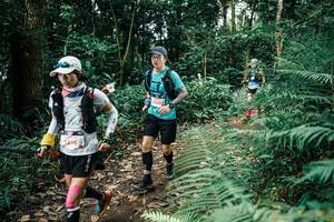 BIB: 
                            <button type="button" onclick="openModal(25510696)" class="btn btn-primary btn-sm float-right btn-popup" data-toggle="modal" data-target=".modal-high-quality">
                        <i class="fas fa-shopping-cart"></i> Add to Cart
                    </button>
                                            <button type="button" onclick="isThisMe(25510696, true)" class="btn btn-success btn-sm float-right btn-popup btn-isme hidden" data-toggle="tooltip" data-placement="bottom" title="นี่คือรูปของคุณใช่ไหม คลิกที่นี่เพื่อเอาเข้าอัลบั้ม">
                        <i class="fas fa-plus"></i> Add to album
                    </button>
                    <button type="button" onclick="isThisMe(25510696, false)" class="btn btn-warning btn-sm float-right btn-popup btn-isnotme hidden">
                        <i class="fas fa-ban"></i> Remove from album
                    </button>