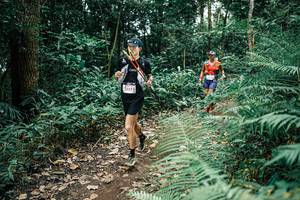 BIB: 
                            <button type="button" onclick="openModal(25508403)" class="btn btn-primary btn-sm float-right btn-popup" data-toggle="modal" data-target=".modal-high-quality">
                        <i class="fas fa-shopping-cart"></i> Add to Cart
                    </button>
                                            <button type="button" onclick="isThisMe(25508403, true)" class="btn btn-success btn-sm float-right btn-popup btn-isme hidden" data-toggle="tooltip" data-placement="bottom" title="นี่คือรูปของคุณใช่ไหม คลิกที่นี่เพื่อเอาเข้าอัลบั้ม">
                        <i class="fas fa-plus"></i> Add to album
                    </button>
                    <button type="button" onclick="isThisMe(25508403, false)" class="btn btn-warning btn-sm float-right btn-popup btn-isnotme hidden">
                        <i class="fas fa-ban"></i> Remove from album
                    </button>