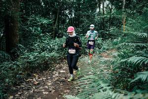 BIB: 
                            <button type="button" onclick="openModal(25513721)" class="btn btn-primary btn-sm float-right btn-popup" data-toggle="modal" data-target=".modal-high-quality">
                        <i class="fas fa-shopping-cart"></i> Add to Cart
                    </button>
                                            <button type="button" onclick="isThisMe(25513721, true)" class="btn btn-success btn-sm float-right btn-popup btn-isme hidden" data-toggle="tooltip" data-placement="bottom" title="นี่คือรูปของคุณใช่ไหม คลิกที่นี่เพื่อเอาเข้าอัลบั้ม">
                        <i class="fas fa-plus"></i> Add to album
                    </button>
                    <button type="button" onclick="isThisMe(25513721, false)" class="btn btn-warning btn-sm float-right btn-popup btn-isnotme hidden">
                        <i class="fas fa-ban"></i> Remove from album
                    </button>