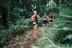 BIB: 
                            <button type="button" onclick="openModal(25508226)" class="btn btn-primary btn-sm float-right btn-popup" data-toggle="modal" data-target=".modal-high-quality">
                        <i class="fas fa-shopping-cart"></i> Add to Cart
                    </button>
                                            <button type="button" onclick="isThisMe(25508226, true)" class="btn btn-success btn-sm float-right btn-popup btn-isme hidden" data-toggle="tooltip" data-placement="bottom" title="นี่คือรูปของคุณใช่ไหม คลิกที่นี่เพื่อเอาเข้าอัลบั้ม">
                        <i class="fas fa-plus"></i> Add to album
                    </button>
                    <button type="button" onclick="isThisMe(25508226, false)" class="btn btn-warning btn-sm float-right btn-popup btn-isnotme hidden">
                        <i class="fas fa-ban"></i> Remove from album
                    </button>