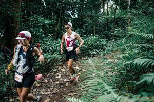 BIB: 
                            <button type="button" onclick="openModal(25507665)" class="btn btn-primary btn-sm float-right btn-popup" data-toggle="modal" data-target=".modal-high-quality">
                        <i class="fas fa-shopping-cart"></i> Add to Cart
                    </button>
                                            <button type="button" onclick="isThisMe(25507665, true)" class="btn btn-success btn-sm float-right btn-popup btn-isme hidden" data-toggle="tooltip" data-placement="bottom" title="นี่คือรูปของคุณใช่ไหม คลิกที่นี่เพื่อเอาเข้าอัลบั้ม">
                        <i class="fas fa-plus"></i> Add to album
                    </button>
                    <button type="button" onclick="isThisMe(25507665, false)" class="btn btn-warning btn-sm float-right btn-popup btn-isnotme hidden">
                        <i class="fas fa-ban"></i> Remove from album
                    </button>